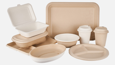 What Makes Best Compostable Paper Plates a Sustainable Choice