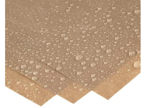 Guide pour choisir des gobelets en papier sans BPA pour les boissons chaudes et froides