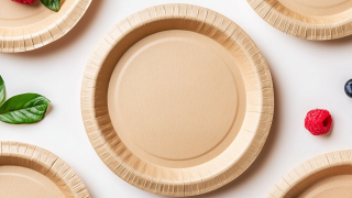10 Reasons to Choose Biodegradable Paper Plates for Your Business