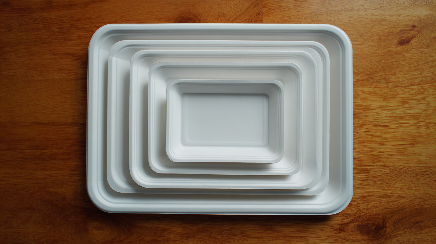Top Strategies for Sourcing the Best Rectangular Paper Plates Worldwide