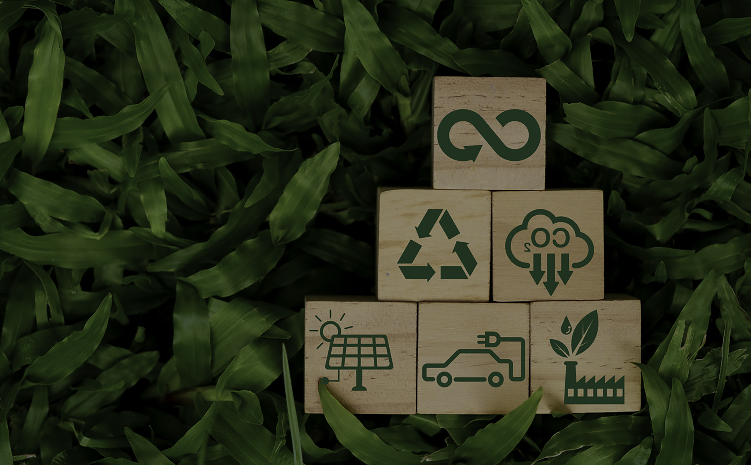 Expansion into Finished Products