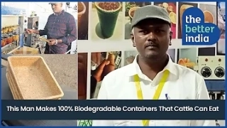 Innovative Ways to Utilize Biodegradable Paper Plates in Sustainable Living