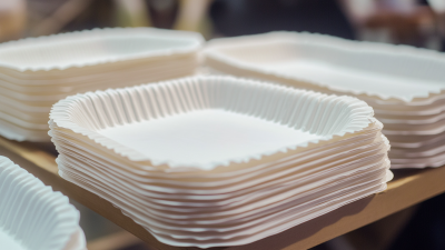 Exploring Opportunities for Rectangular Paper Plates at the 2025 Canton Fair