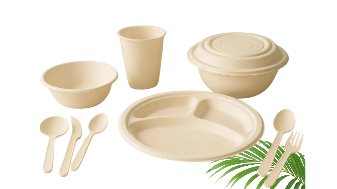 Bagasse Tableware: Always a Smart Choice for Eco-Friends