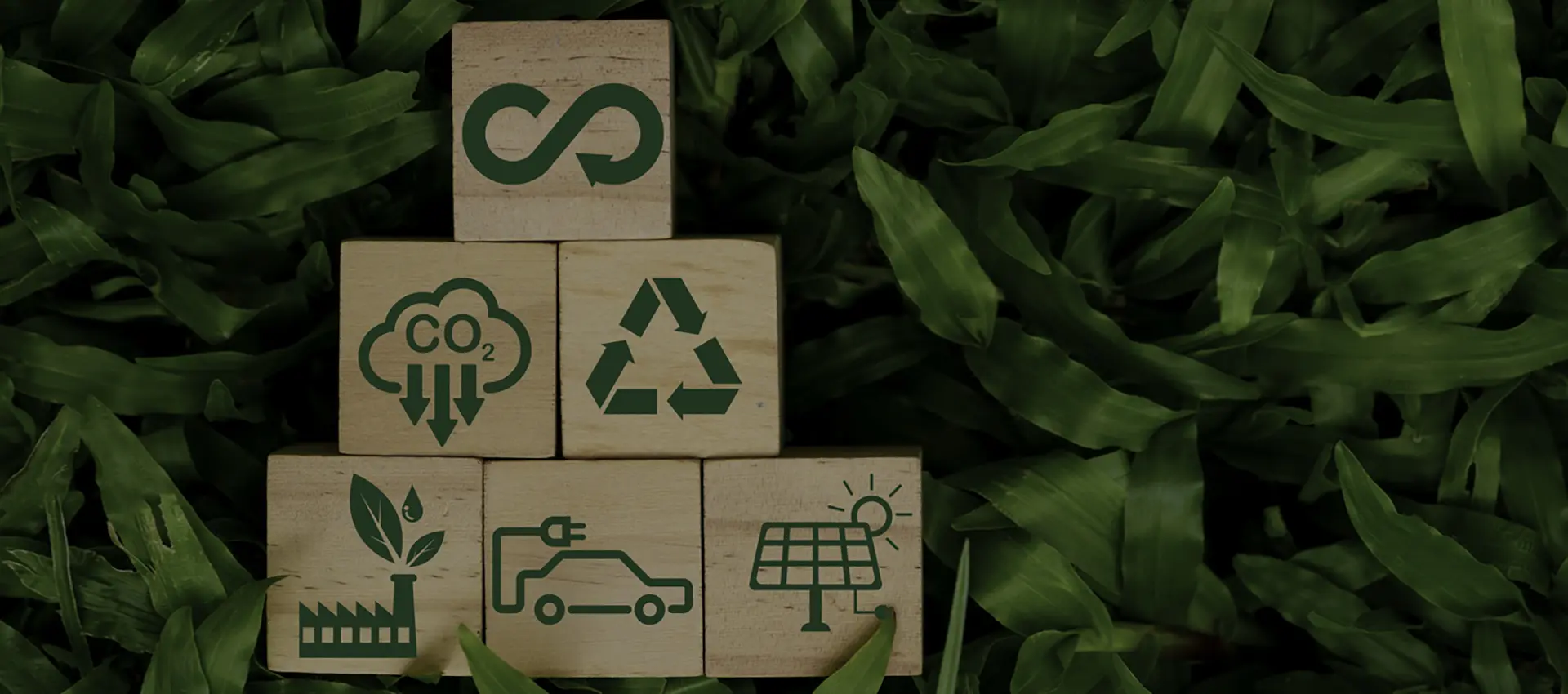 Pabrik Gelas Sehari-hari