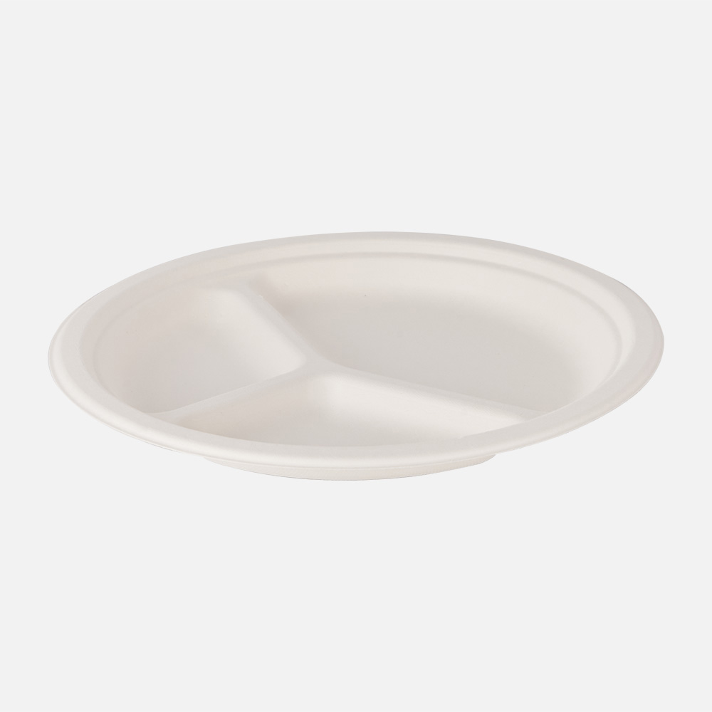 biodegradable bagasse plates