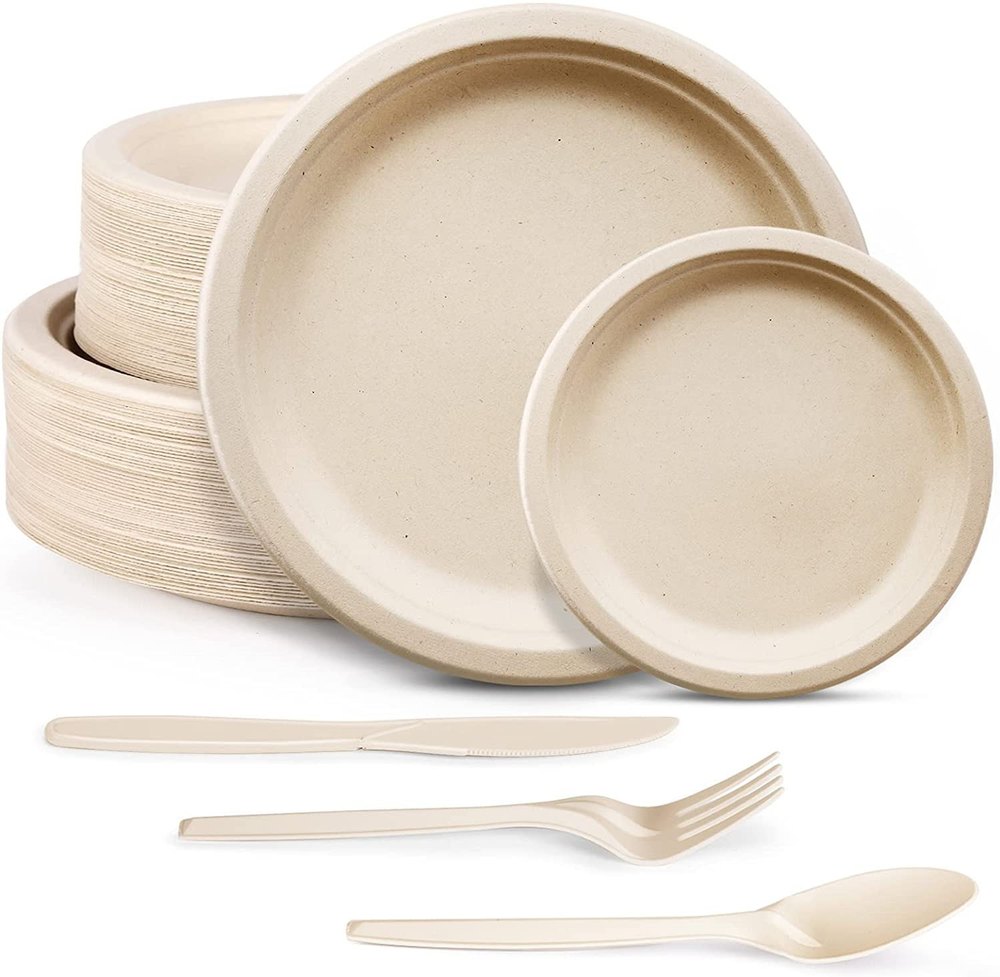 Biodegradable Plate Stats for Smart Shoppers