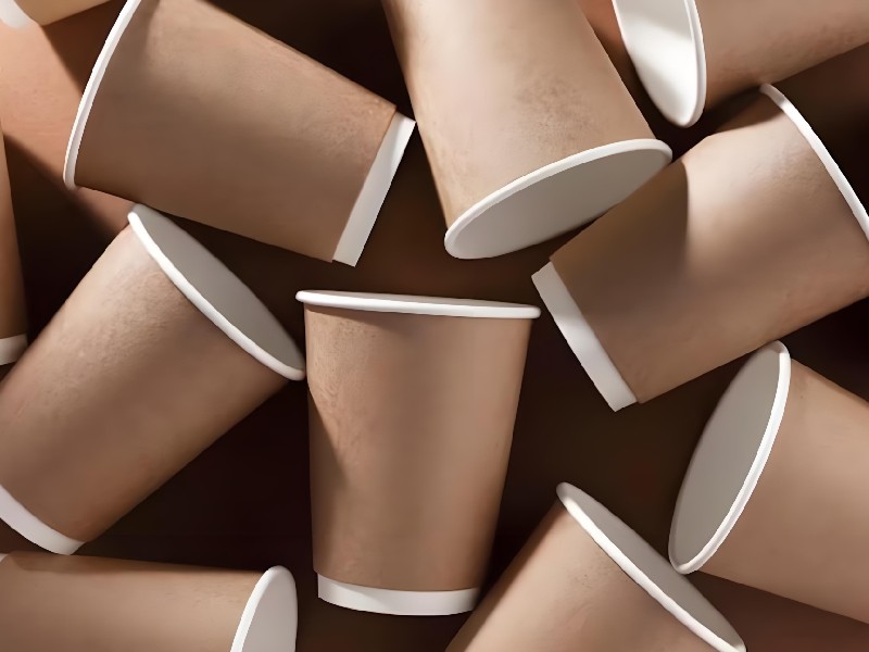Ranking the Top 10 Paper Cup Brands for 2025