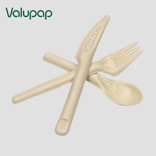 Disposable biodegradable bagasse paper cutlery set