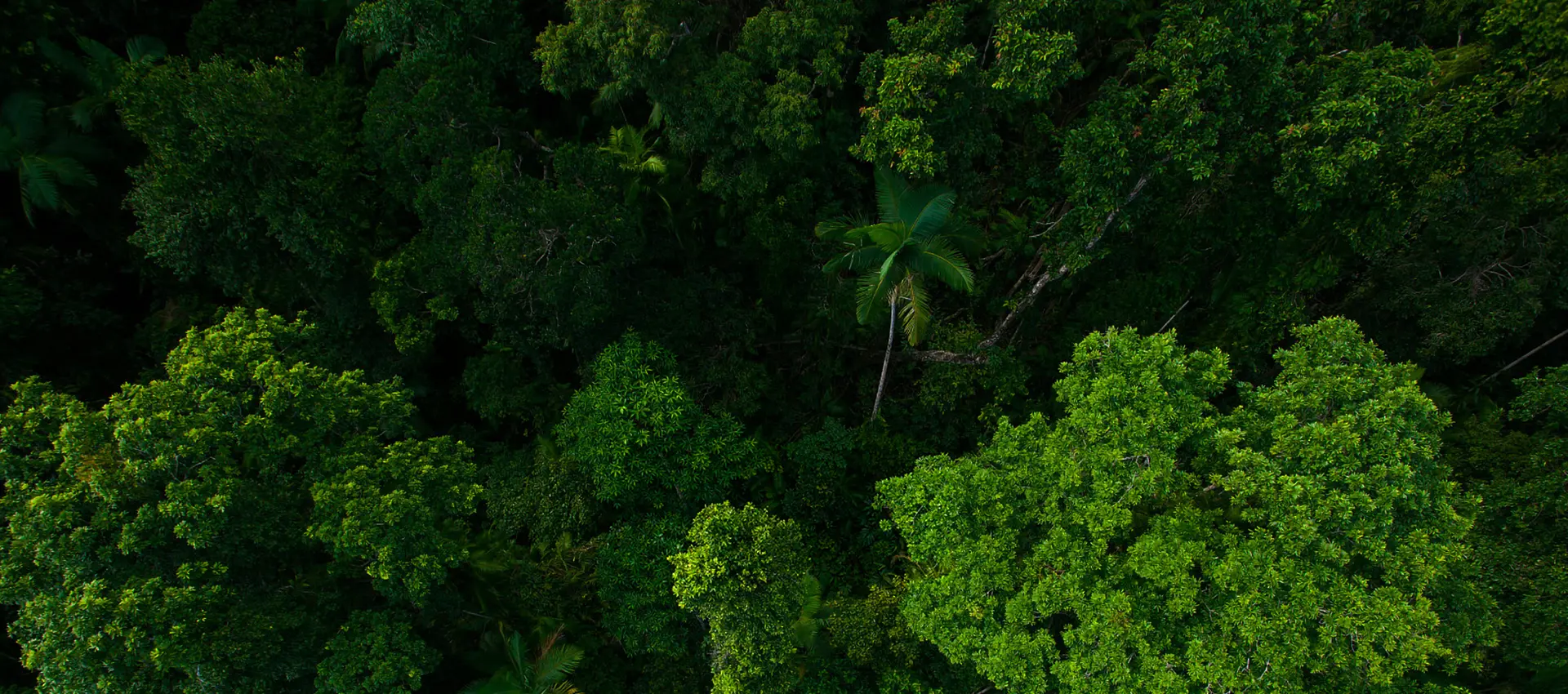 Чашки с логотипами на заказ