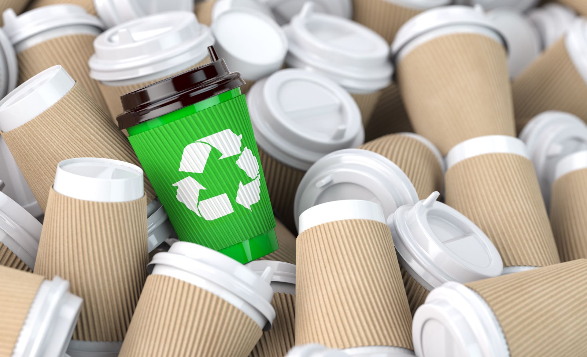 How Paper Cups Are Recycled in 2025