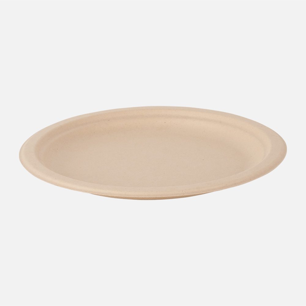 sugarcane disposable plates