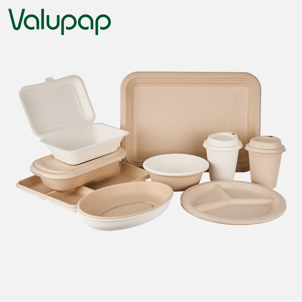 Compostable disposable biodegradable bagasse food bowl