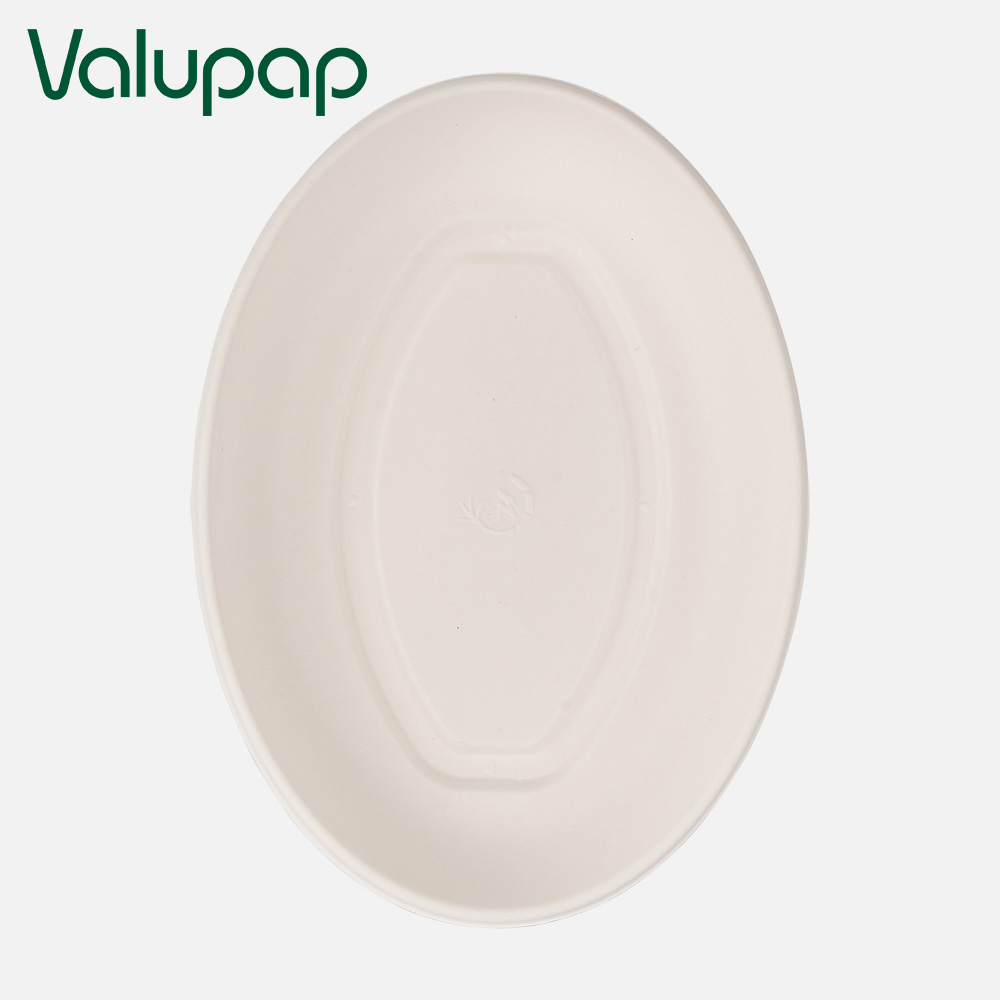 Disposable paper plate bagasse plate
