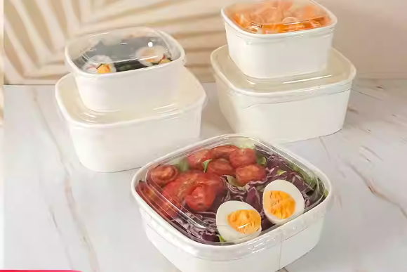 GCU Paper Solutions for Frozen Food Protection 2025